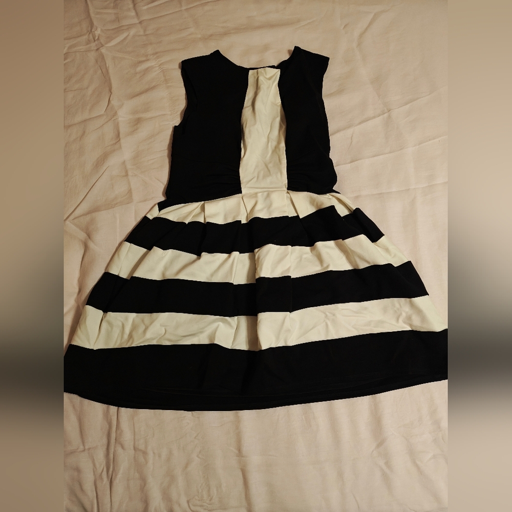 Eva Franco Black and White Striped Dress